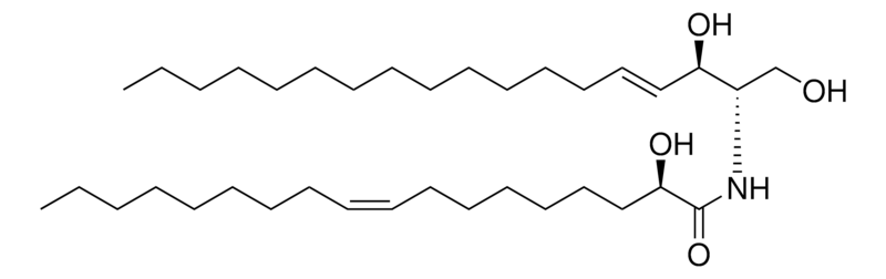 Merck 18:1(2R-OH) Ceramide