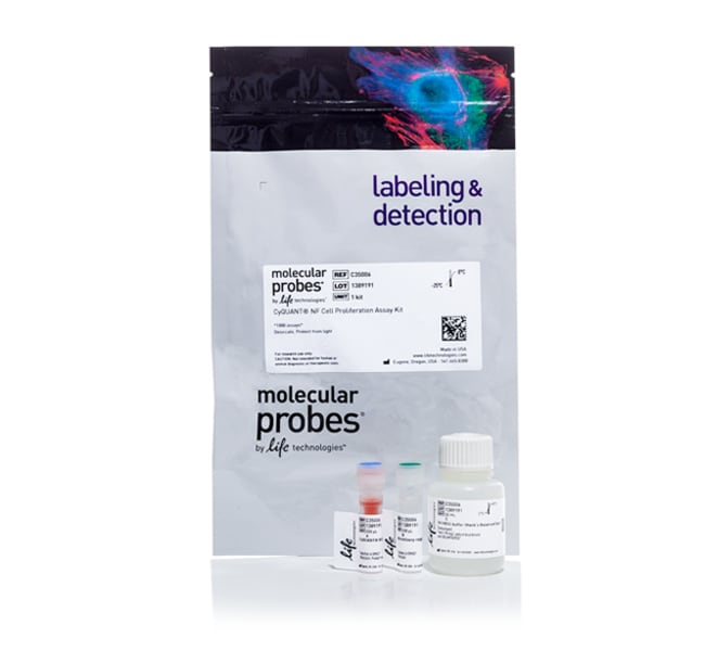 Thermo Fisher Scientific CyQUANT NF Cell Proliferation Assay, 1,000 assays