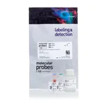 Thermo Fisher Scientific CyQUANT NF Cell Proliferation Assay, 1,000 assays