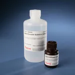 Thermo Fisher Scientific Pierce DAB Substrate Kit