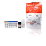Thermo Fisher Scientific ATP Determination Kit