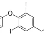 Merck L-THYROXINE