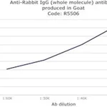 Merck ANTI-RABBIT IGG (WHOLE MOLECULE) &
