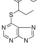 Merck ETHYL 2-(9H-PURIN-6-YLTHIO)BUTAN-