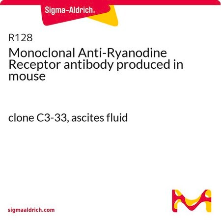 Merck Monoclonal Anti-Ryanodine Receptor antibody produced in mouse
