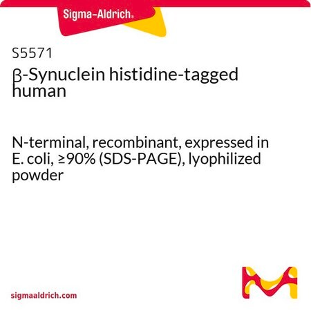 Merck beta-Synuclein histidine-tagged human
