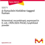 Merck beta-Synuclein histidine-tagged human