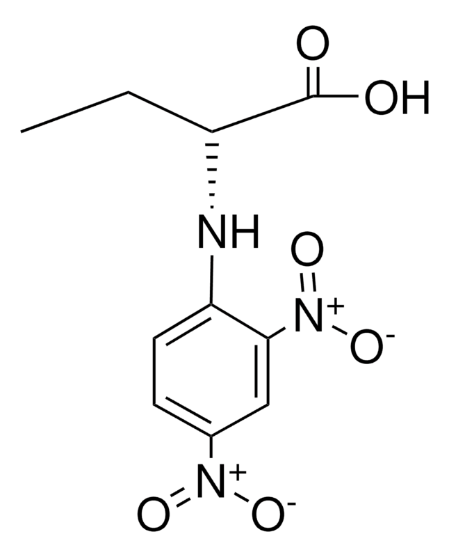 Merck N-(2,4-DINITROPHENYL)-L-2-AMIN - 50 MG&