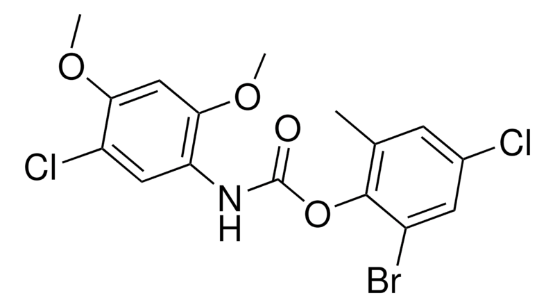 Merck 2-BROMO-4-CHLORO-6-METHYLPHENY - 50 MG&