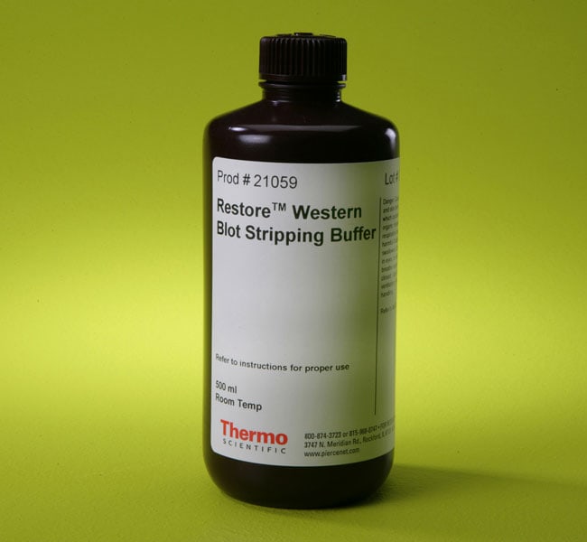 Thermo Fisher Scientific Restore Western Blot Stripping Buffer, 500 mL