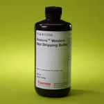 Thermo Fisher Scientific Restore Western Blot Stripping Buffer, 500 mL
