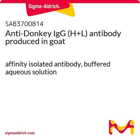 Merck Anti-Donkey IgG (H+L) antibody produced in goat