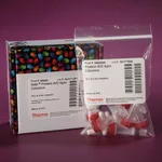 Thermo Fisher Scientific NAb Protein A/G Spin Columns, 0.2 mL