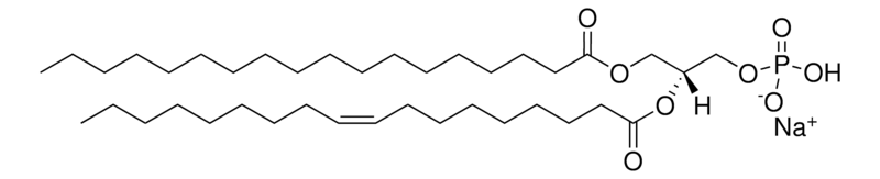 Merck 18:0-18:1 PA