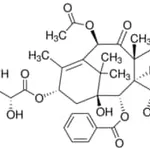 Merck Taxol