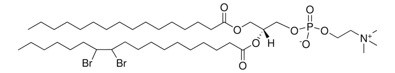 Merck 16:0-18:0 (11-12BR) PC