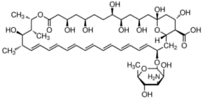 Merck AMPHOTERICIN B