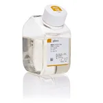 Thermo Fisher Scientific DMEM/F-12, no phenol red