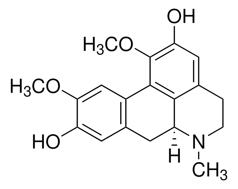Merck Boldine