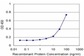 Merck MONOCLONAL ANTI-SLIT3
