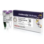 Thermo Fisher Scientific FastDigest Bsp120I