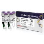 Thermo Fisher Scientific FastDigest HindIII, 800 μL (800 Reactions)
