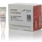 Thermo Fisher Scientific Plasmid pBR322