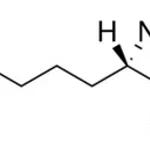 Merck L-A-AMINOADIPIC ACID