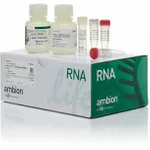 Thermo Fisher Scientific Cells-to-CT 1-Step Power SYBR Green Kit, 400 Preps