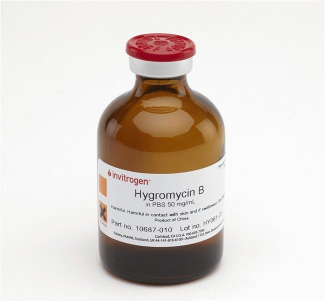 Thermo Fisher Scientific Hygromycin B (50 mg/mL)