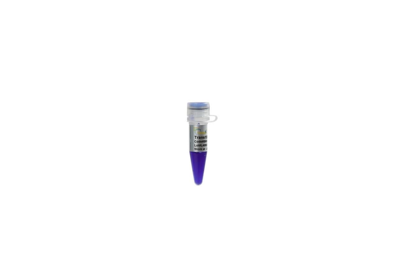 Trans15K® DNA Marker