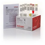 Thermo Fisher Scientific Anza 5-Pack Starter Kit
