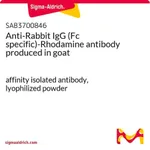 Merck Anti-Rabbit IgG (Fc specific)-Rhodamine antibody produced in goat