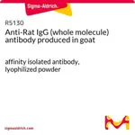 Merck Anti-Rat IgG (whole molecule) antibody produced in goat