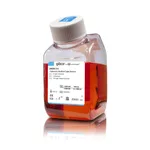 Thermo Fisher Scientific DMEM, high glucose, pyruvate, 1000 mL