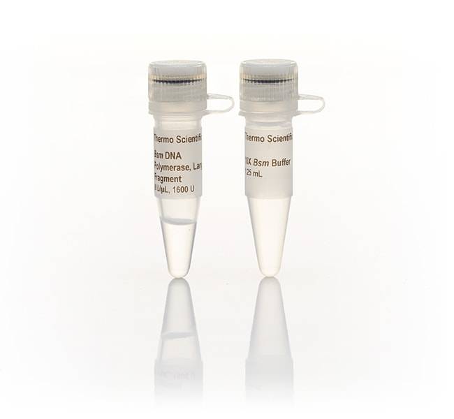 Thermo Fisher Scientific Bsm DNA Polymerase, large fragment (8 U/μL)