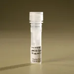 Thermo Fisher Scientific pMCS-Cypridina Luc Vector for Luciferase Assays