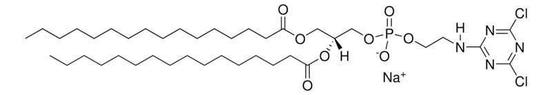 Merck 16:0 Cyanur PE