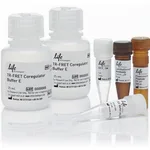 Thermo Fisher Scientific LanthaScreen TR-FRET ER beta Coactivator Assay Kit