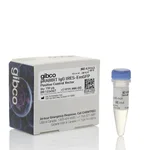 Thermo Fisher Scientific pRABBIT IgG IRES-EmGFP Positive Control Vector