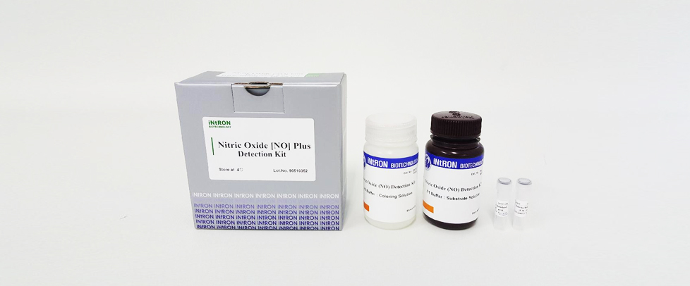 Intron NO (Nitric Oxide) Plus Detection kit