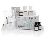 Thermo Fisher Scientific RiboPure RNA Purification Kit, blood