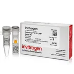 Thermo Fisher Scientific SuperScript IV RT-LAMP Master Mix, 100 reactions, 1 x 1.25 mL