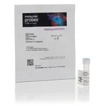 Thermo Fisher Scientific Annexin V, FITC conjugate, 500 μL