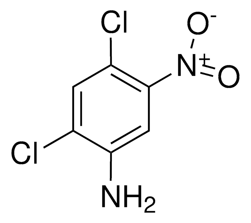 Merck 2,4-DICHLORO-5-NITROANILINE-
