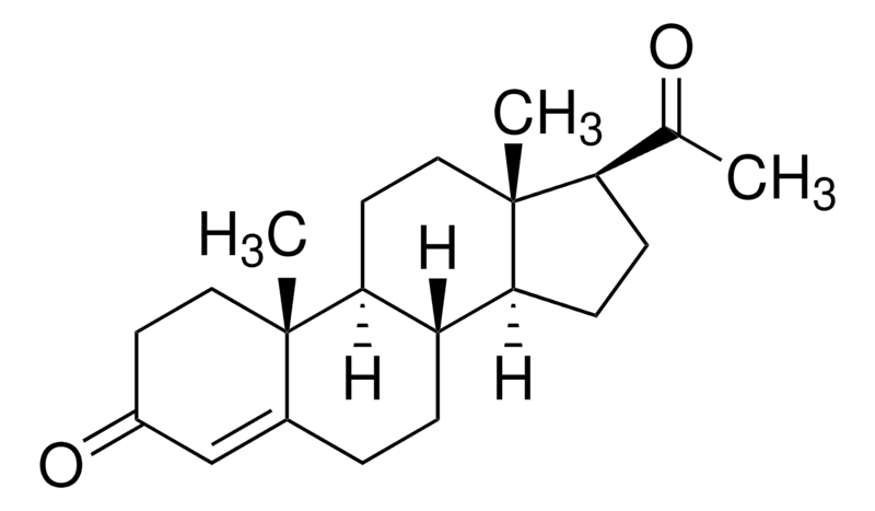 Merck Progesterone