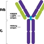 Merck MOUSE IGG1-KAPPA (MOPC 31C)