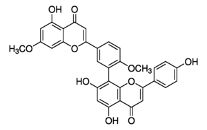 Merck GINKGETIN
