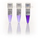 Thermo Fisher Scientific FastRuler Low Range DNA Ladder, ready-to-use