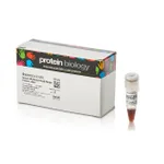 Thermo Fisher Scientific Spectra Multicolor Broad Range Protein Ladder, 10 x 250 μL
